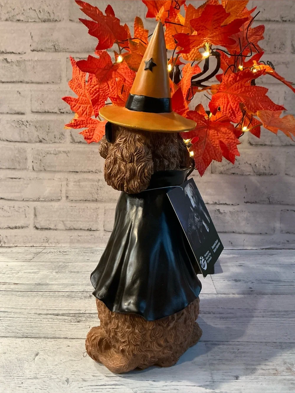 Humane World for Animals Dog Wearing Cloak and Witch Hat Decoration